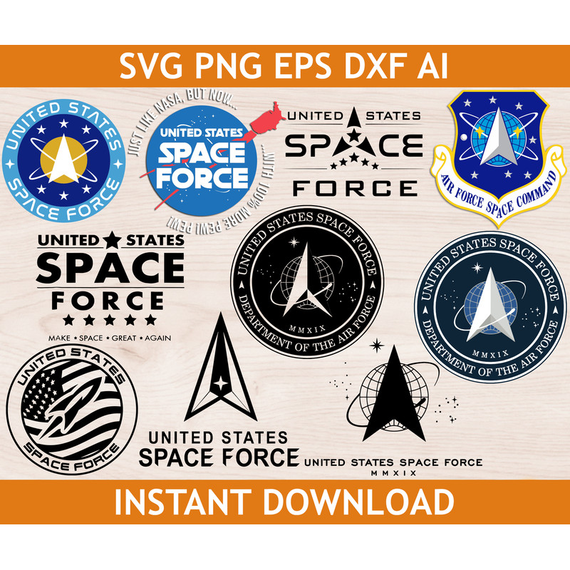 United States Space Force.jpg