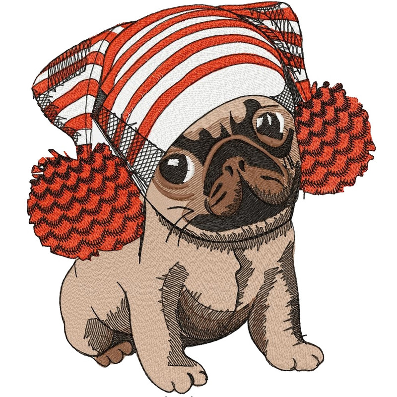 Pug .jpg