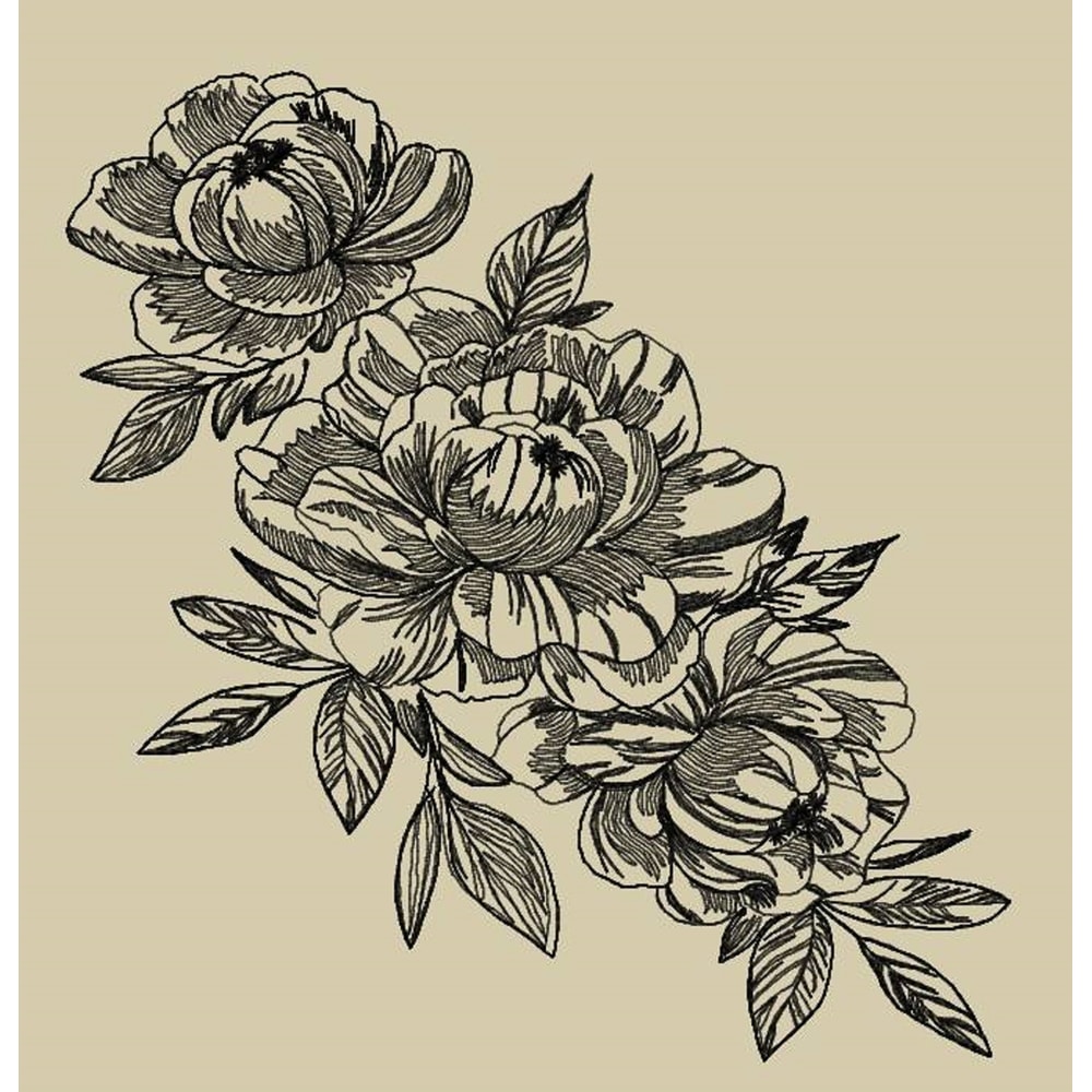 Peonies contour.jpg