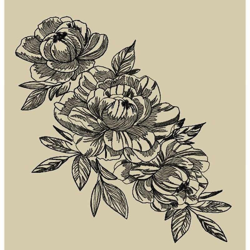 Peonies contour.jpg