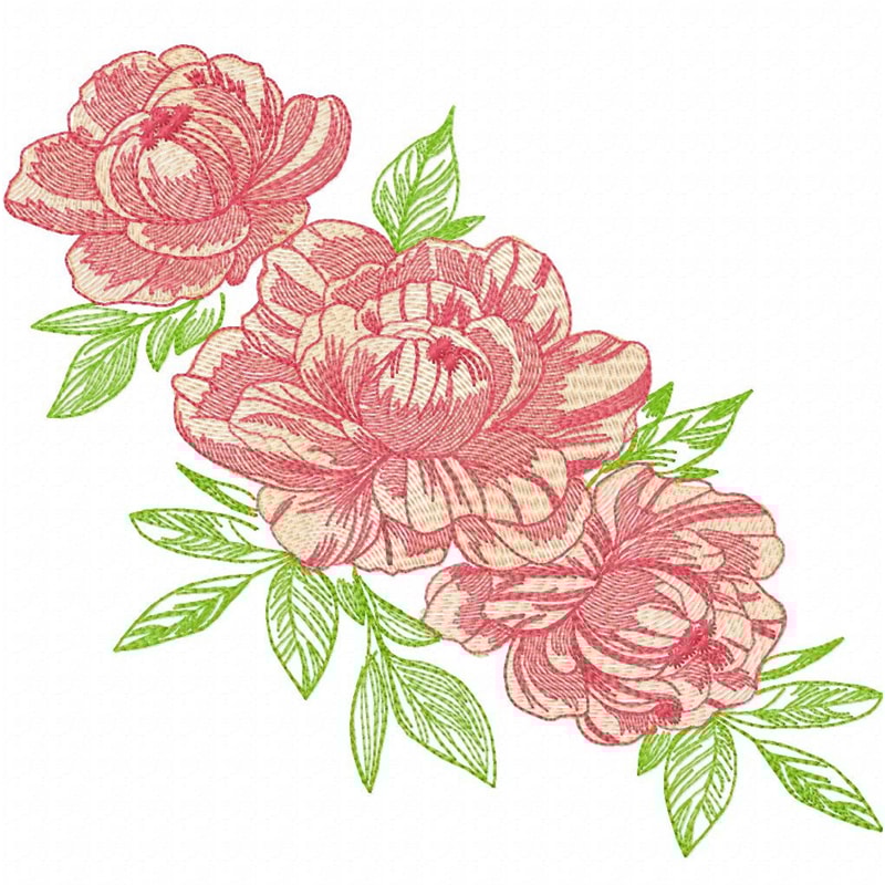 Peonies.jpg