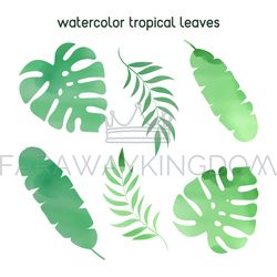watercolor tropical leaf abstract plants vector illustration set