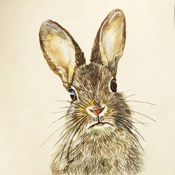 Rabbit Watercolor Original Painting 7x7 inches