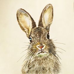 rabbit watercolor original painting 7x7 inches