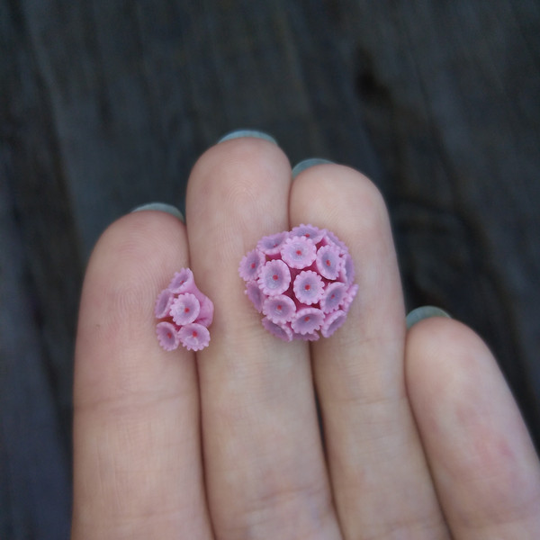 pink-coral-1.jpg