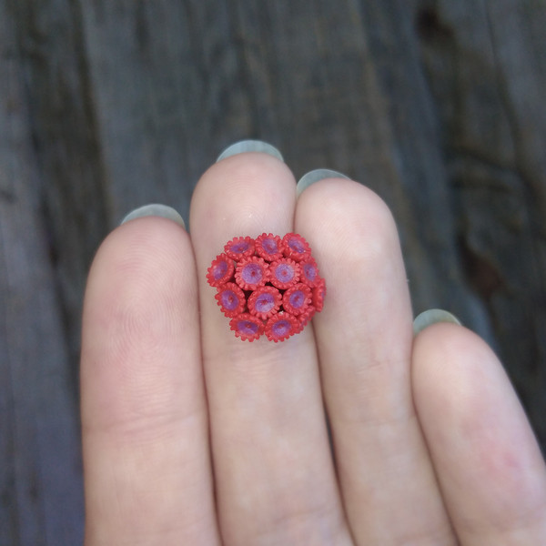 red-coral-1.jpg