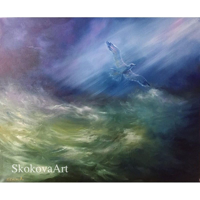 seagull seagull in the clouds sea