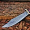 Aladdin Knife GIFT Stag Crown Handle Spartan Knife Damascus Steel Blade nowjpg