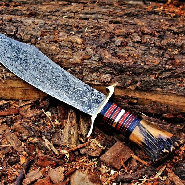 Aladdin Knife GIFT  Stag Crown Handle Spartan Knife, Damascus Steel Blade.jpg