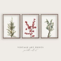 Botanical Winter Print Set | Neutral Vintage Painting | Country Holiday Wall Decor | 2