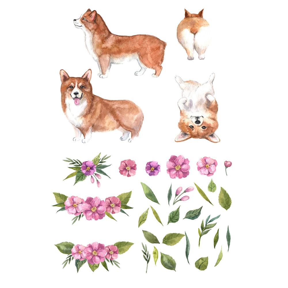 corgi set.jpg