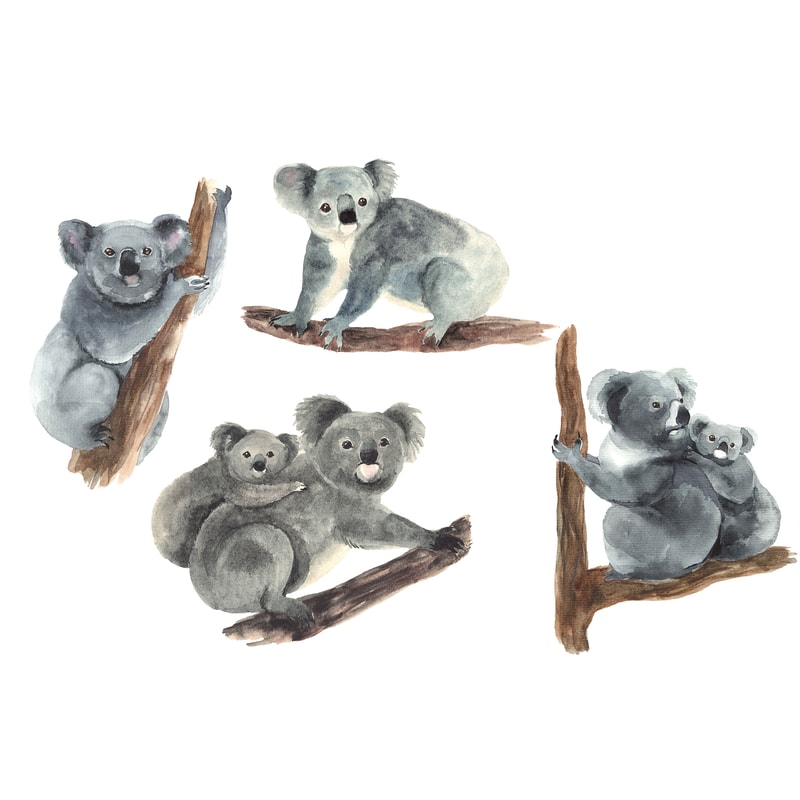 koala set.jpg
