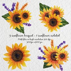 Sunflower watercolor clipart sunflower bouquet