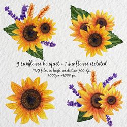 sunflower watercolor clipart sunflower bouquet