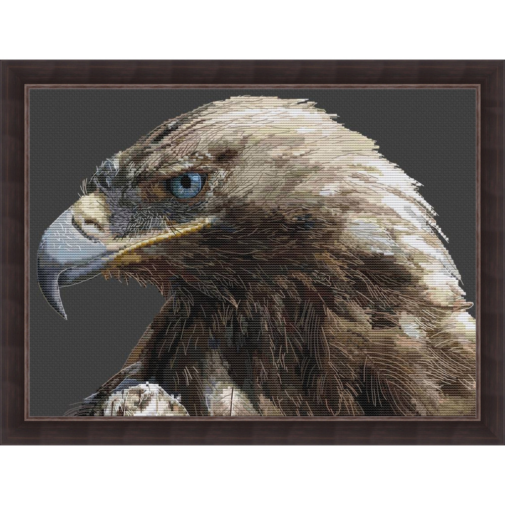 Для экспорта.jpg