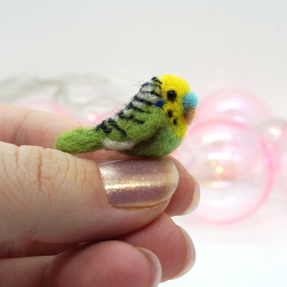 tiny-budgie-gift