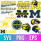 Michigan Wolverines.jpg