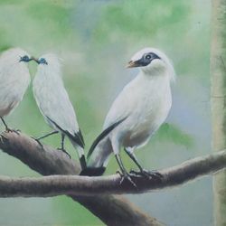 Starling Bird Oil Painting, Jalak Bird Bali on the Tree, Original Oil on Canvas Wall Art