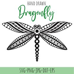 Hand drawn painted dragonfly clipart - SVG