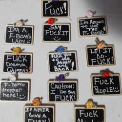 f-bomb   refrigerator magnetics