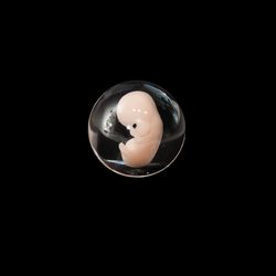 For Jessica - Embryo 7 weeks in Lens,  Sculpture cast in resin