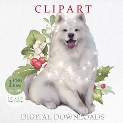 Samoyed in a garland. Digital clipart. Sublimation PNG. Clipart PNG. Digital download.
