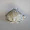 Bunny soap back