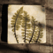 botanical-tiles-2.jpg