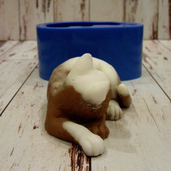 Sleeping cat soap and silicone mold