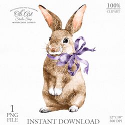 Easter Clip Art. Easter bunny. Png File, Hand Drawn graphics. Digital Download. OliArtStudioShop
