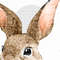 Easter bunny clipart_03.JPG