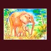African Elephant 2.jpg