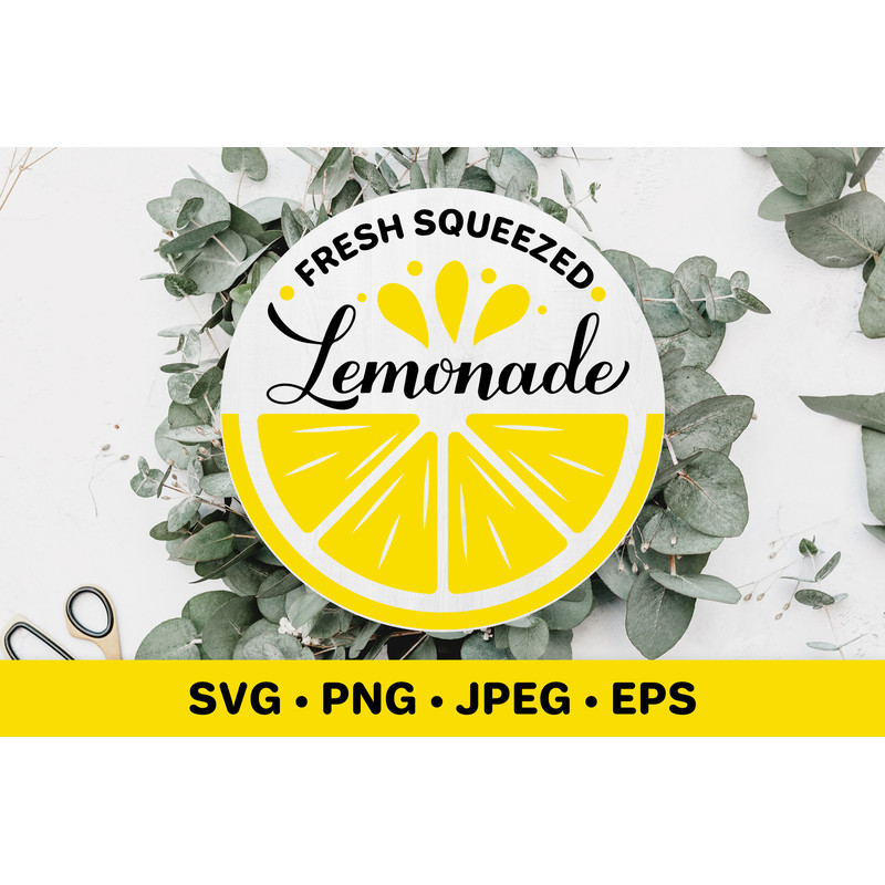 Lemonade004----Mockup1.jpg