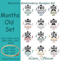 Months Old Set 12 machine embroidery designs  in seven  embroidery formats and 5 sizes