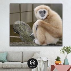 Monkey Tempered Glass Wall Art, Home Decor, Wall Art, Panoramic Decor, Canvas Wall Print, Gifting Decor, Animal Wall Art