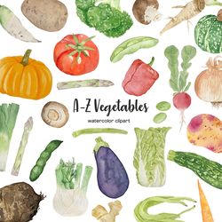 Watercolor vegetables clipart. A-Z veggies watercolor. Full alphabet vegetable clip art. Watercolor organic clipart.