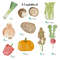 veg3.jpg