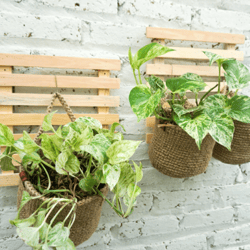 Jute indoor planter |Jute fruit hanging basket | jute vegetable hanging basket | handmade kitchen hanging basket | farm