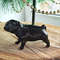 Statuette black pug