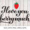 BerryMuch001----Mockup1.jpg