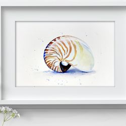 Nautilus Shell Watercolor Wall Decor 8"x11" sea art painting by Anne Gorywine