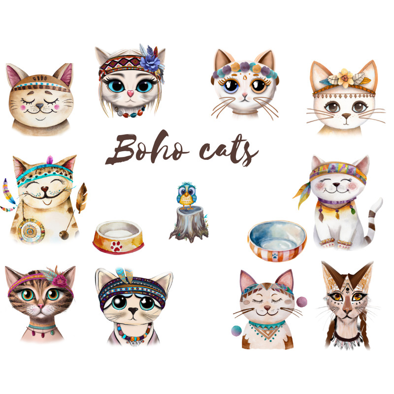 Boho cats.png