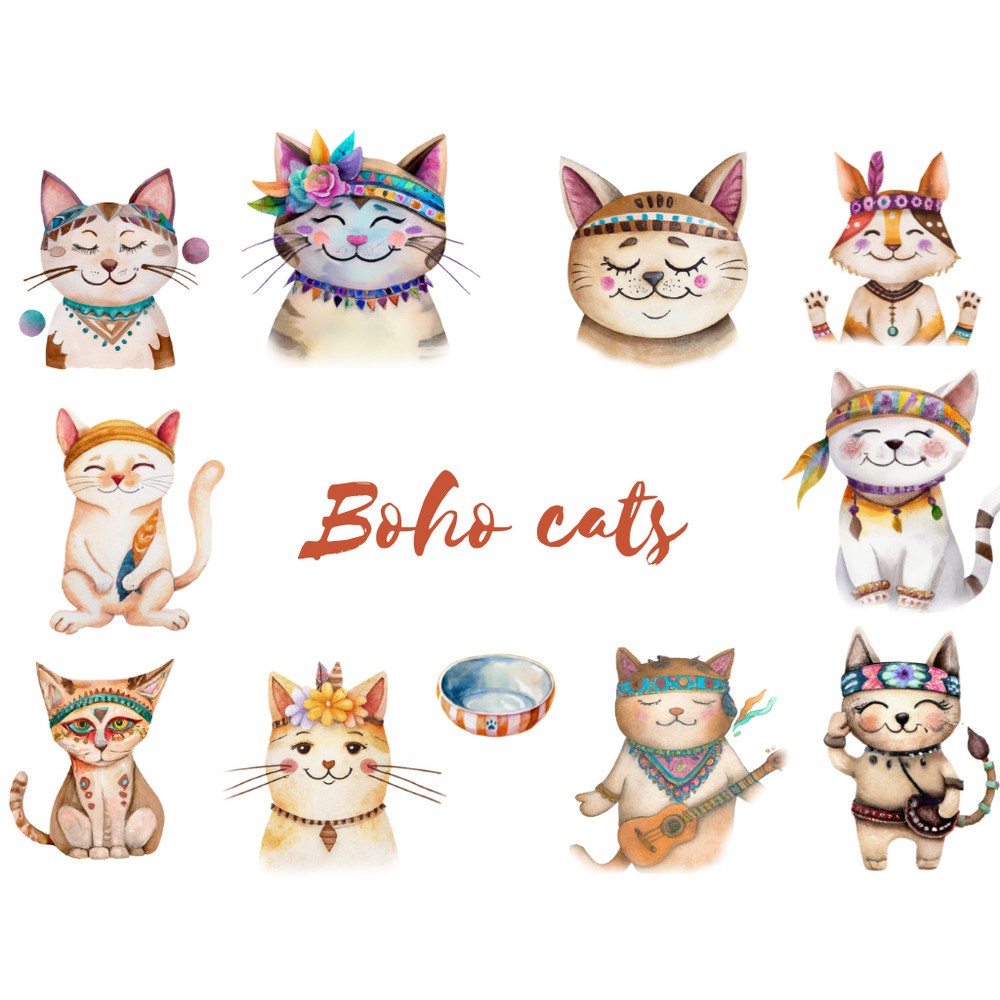 Boho cats.png