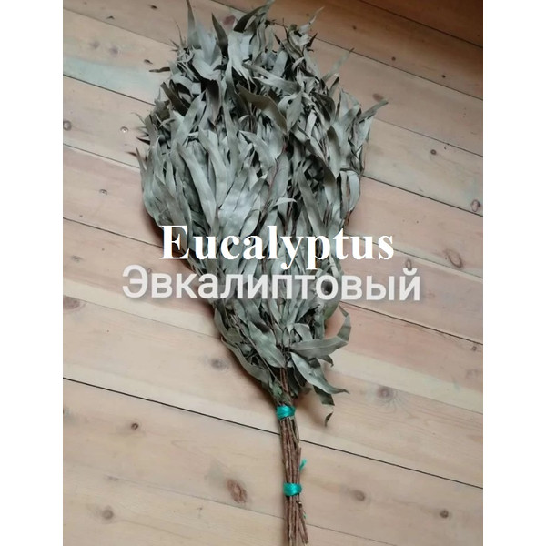 Eucalyptus broom.jpg