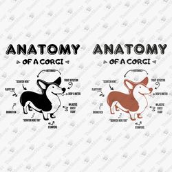 Anatomy Of A Corgi Welsh Funny Dog Lover Mom Dad SVG Cut File