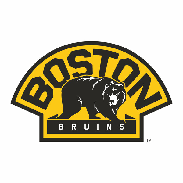 Boston Bruins5.jpg