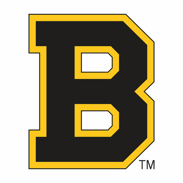 Boston Bruins8.jpg