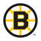Boston Bruins9.jpg