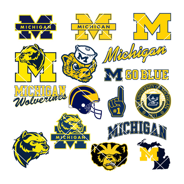 Michigan Wolverines.jpg