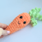 carrot-gift